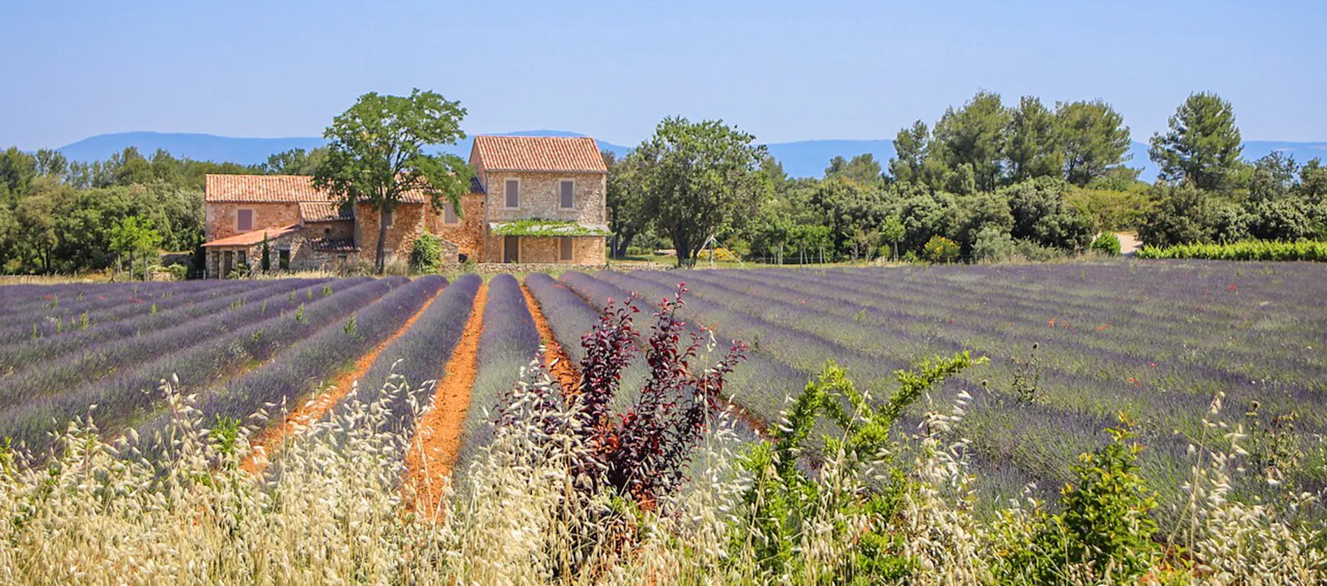 visiter alpes de haute provence